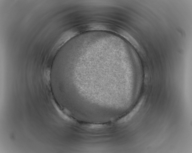 X0000113590849200910091458