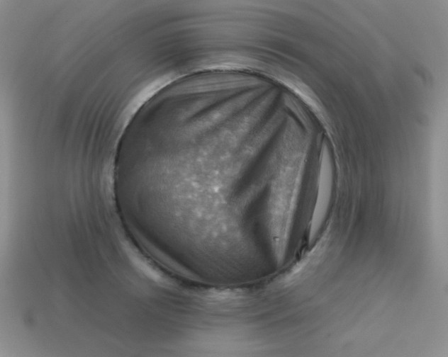 X0000113590850200910091458