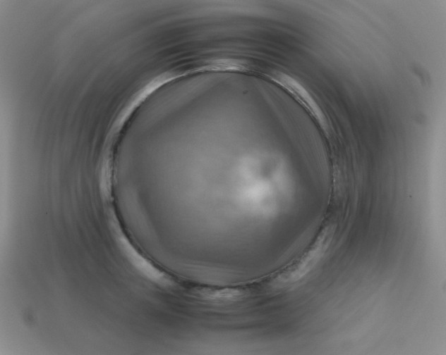 X0000113590851200910091458