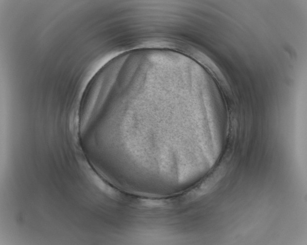 X0000113590852200910091458