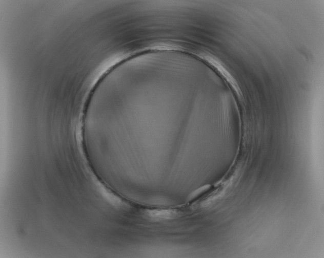 X0000113590853200910091458