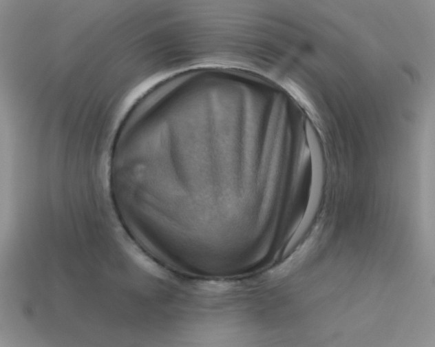 X0000113590854200910091458