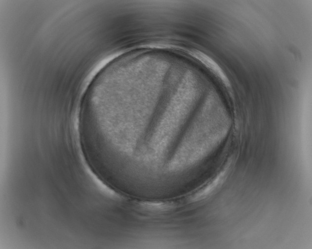 X0000113590855200910091458