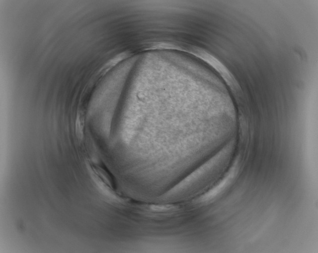 X0000113590857200910091458