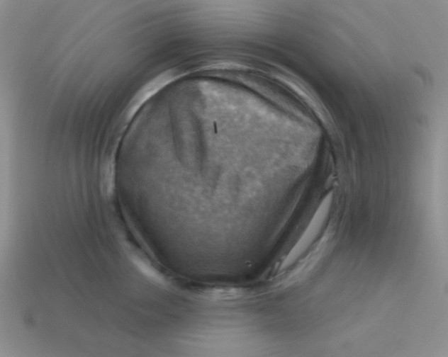 X0000113590858200910091458