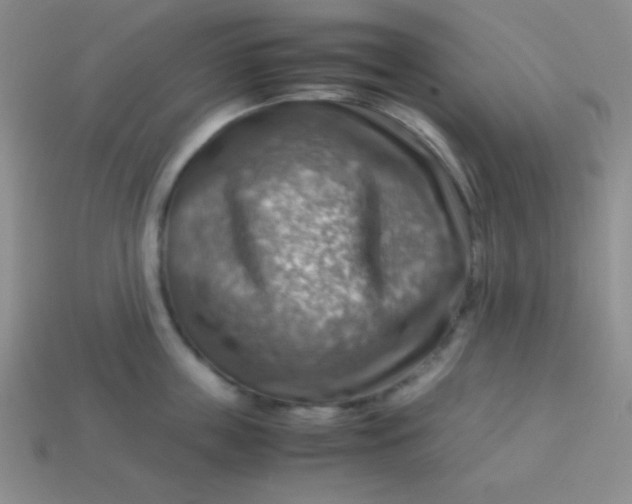 X0000113590859200910091458