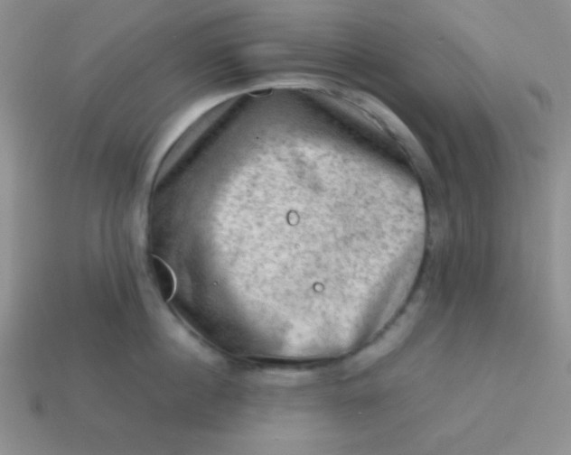 X0000113590860200910091458