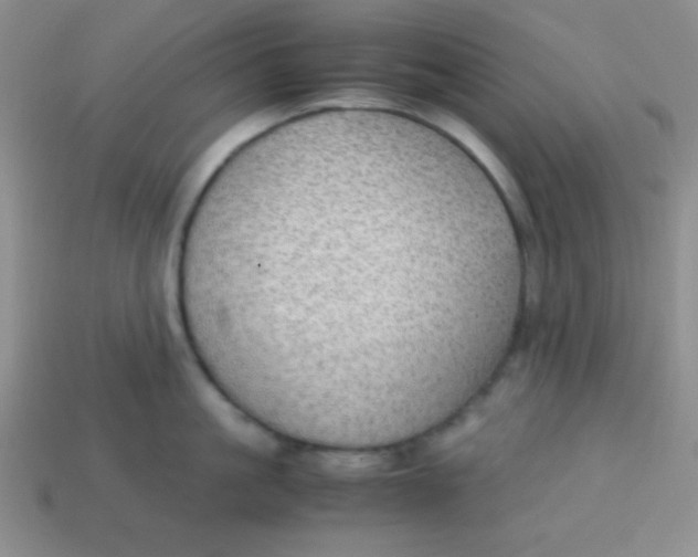 X0000113590861200910091458