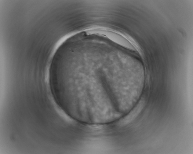 X0000113590862200910091458