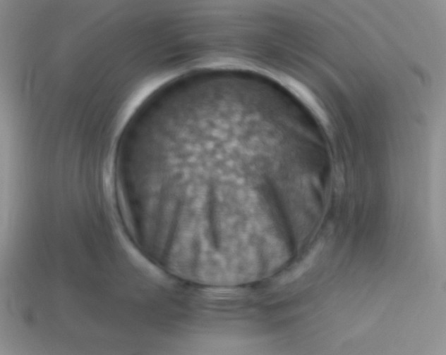 X0000113590863200910091458