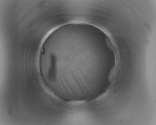 X0000113590864200910091458