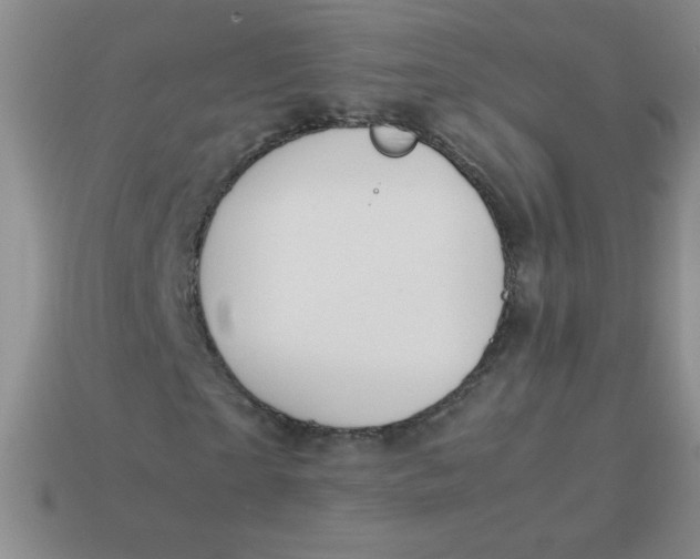 X0000113590865200910091457