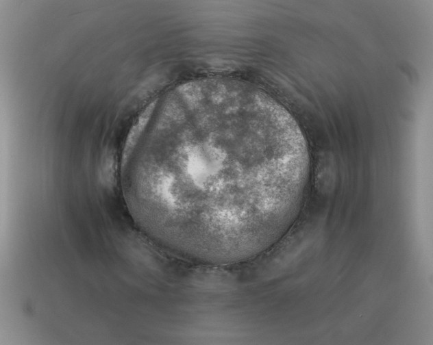 X0000113590866200910091457