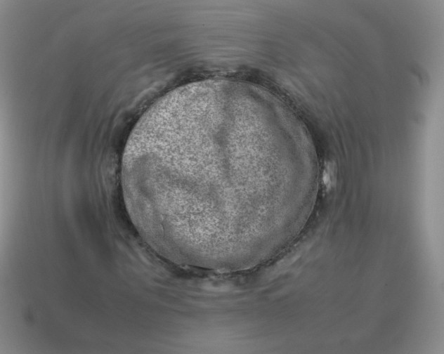 X0000113590867200910091457