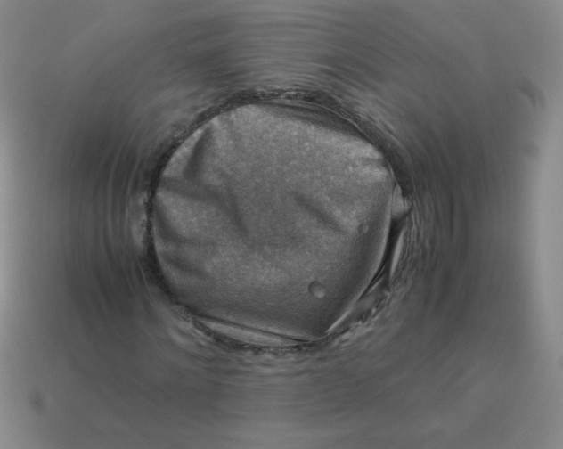 X0000113590868200910091457