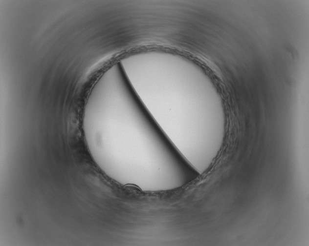 X0000113590872200910091457