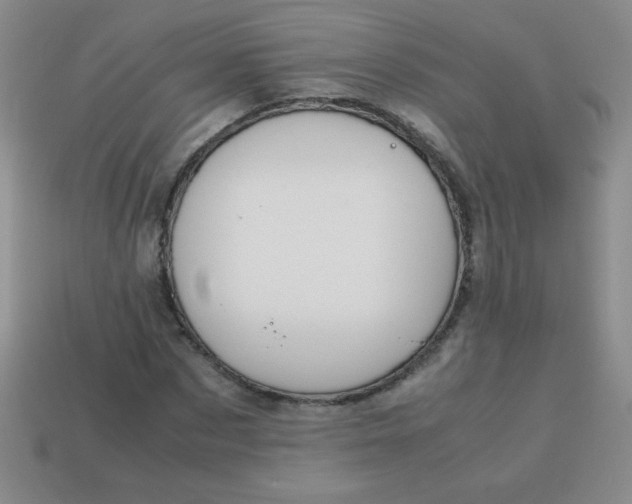 X0000113590873200910091457