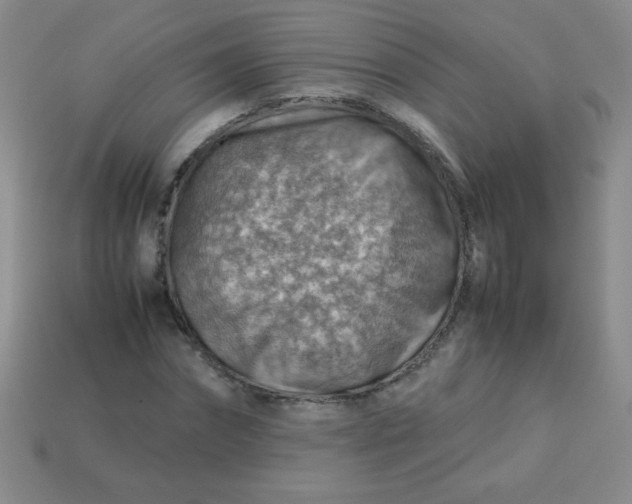 X0000113590874200910091457