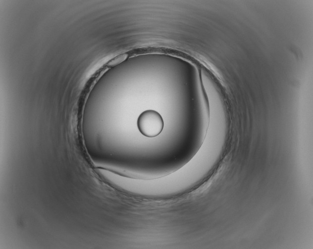 X0000113590877200910091457