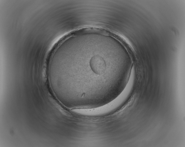 X0000113590878200910091457