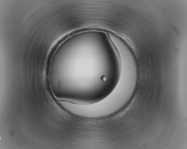 X0000113590880200910091457