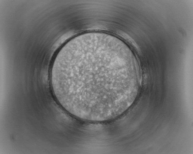 X0000113590882200910091457