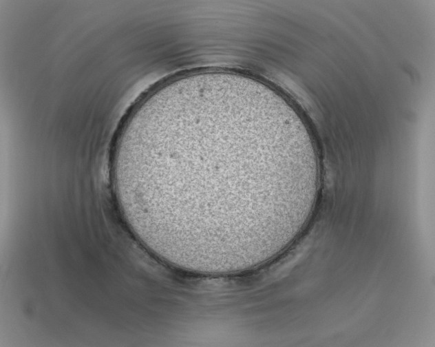 X0000113590883200910091457