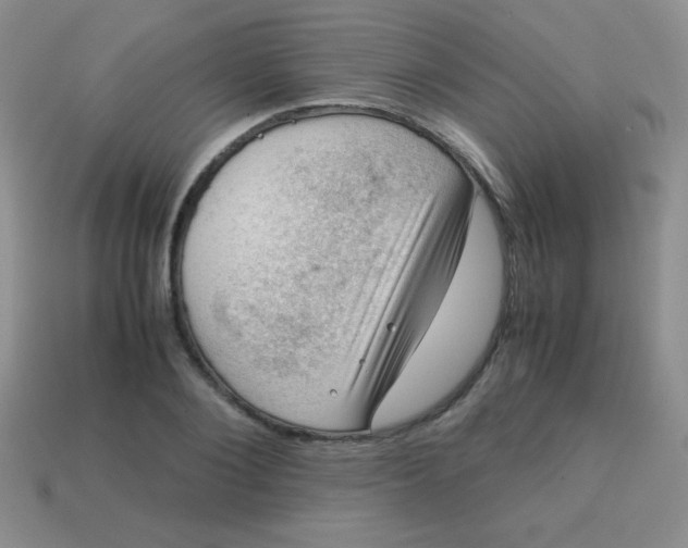 X0000113590884200910091457