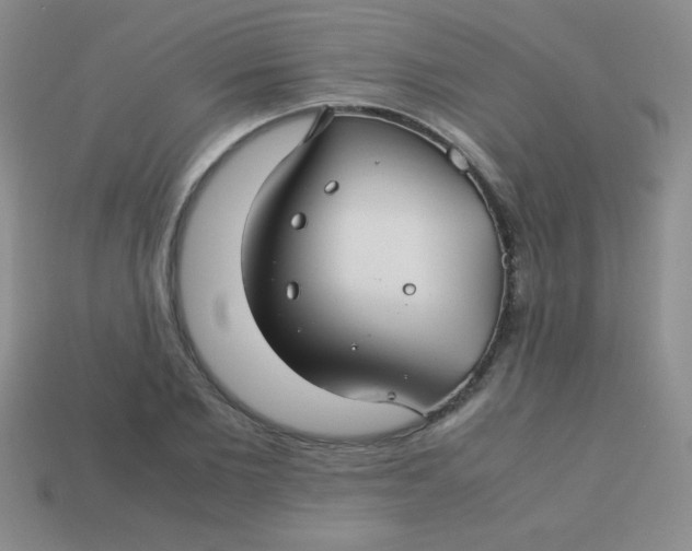 X0000113590885200910091457