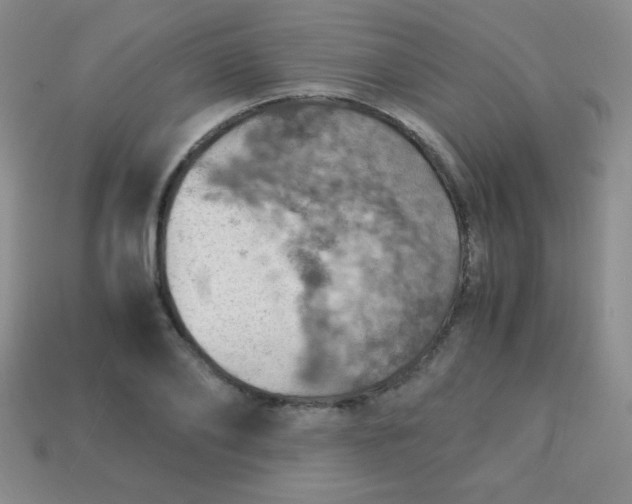 X0000113590886200910091457