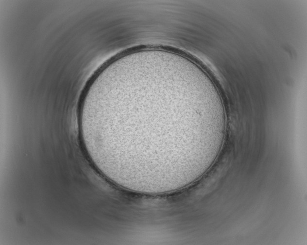 X0000113590887200910091457