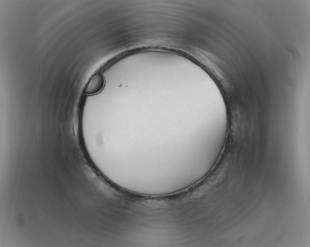 X0000113590888200910091457