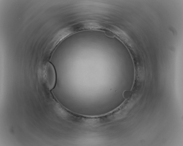 X0000113590889200910091457