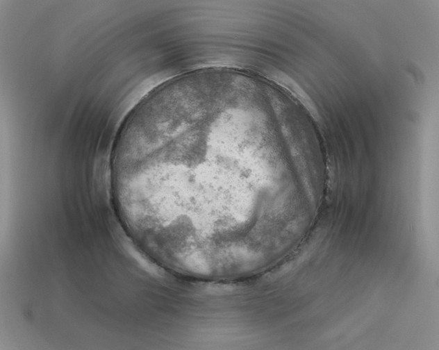 X0000113590890200910091457