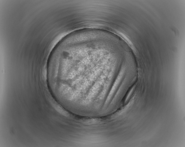 X0000113590891200910091457