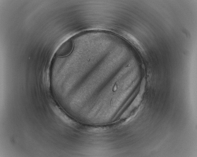 X0000113590892200910091457