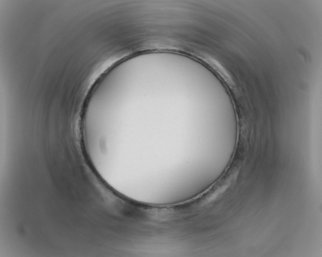 X0000113590893200910091457