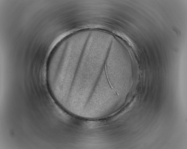 X0000113590894200910091457