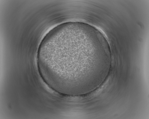 X0000113590895200910091457