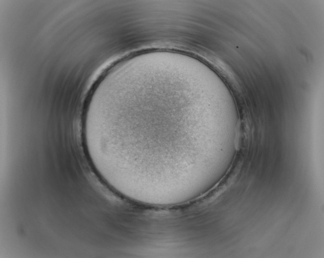 X0000113590896200910091457