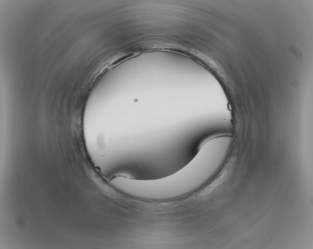 X0000113590897200910091457