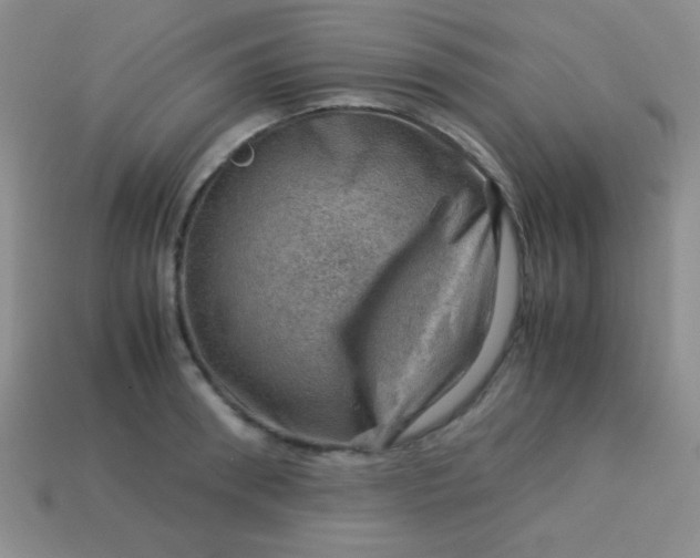 X0000113590898200910091457