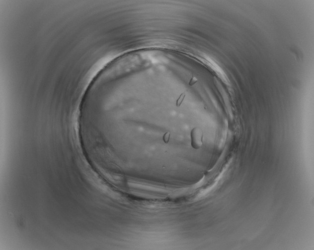 X0000113590899200910091457