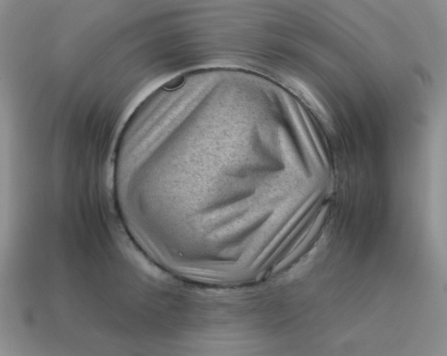 X0000113590900200910091457