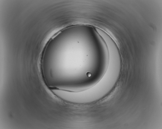 X0000113590901200910091457