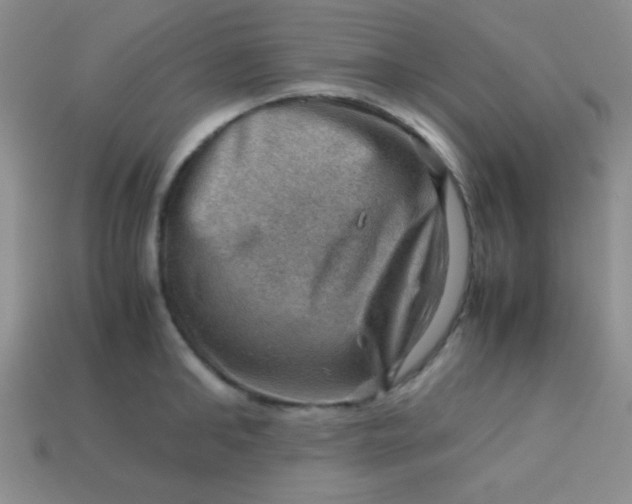 X0000113590902200910091457