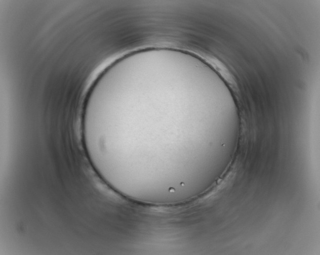 X0000113590904200910091457