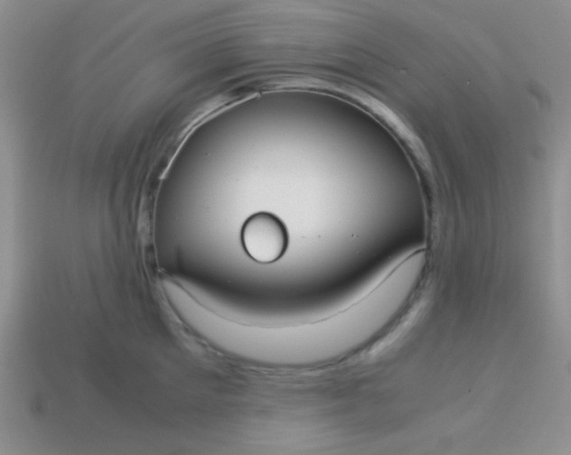 X0000113590905200910091457