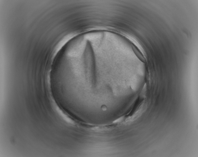 X0000113590906200910091457