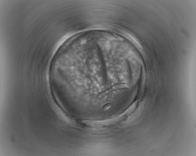 X0000113590907200910091457